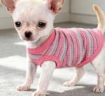 Pure Cotton Ribbed Sleeveless Dog Vest - Image 2