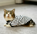 Black and White Striped Long-Sleeve Stretch T-Shirt for Pets – Small - Image 2