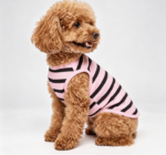 Pure Cotton Striped Pet T-Shirt – Suitable for Medium to Large Dogs