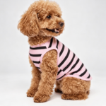 Pure Cotton Striped Pet T-Shirt – Suitable for Medium to Large Dogs