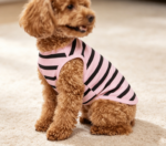 Pure Cotton Striped Pet T-Shirt – Suitable for Medium to Large Dogs - Image 2