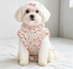 Ruffled Sleeve Pure Cotton Breathable T-Shirt - Image 2