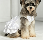 White Wedding Dress (Party Formal Style) - Image 2