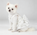 White Princess Wedding Dress (with D-ring)