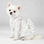 White Princess Wedding Dress (with D-ring)