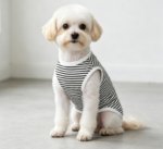 Solid Color Sleeveless Striped Pet T-Shirts – Black Medium (3-Piece Set) - Image 2