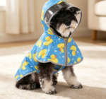 Double-Layer Transparent Hooded Raincoat with Storage Pocket - Image 2