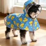 Double-Layer Transparent Hooded Raincoat with Storage Pocket