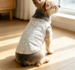 Daisy Print Pure Cotton Short-Sleeve T-Shirts – Small Dog 2-Piece Set