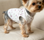 Daisy Print Pure Cotton Short-Sleeve T-Shirts – Small Dog 2-Piece Set - Image 2