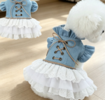 Denim Blue Bell-Sleeve Cake Dress (Two-Piece Set)
