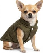 Lightweight and Warm Small Dog Winter Jacket