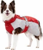 Waterproof Reflective Adjustable Dachshund Jacket