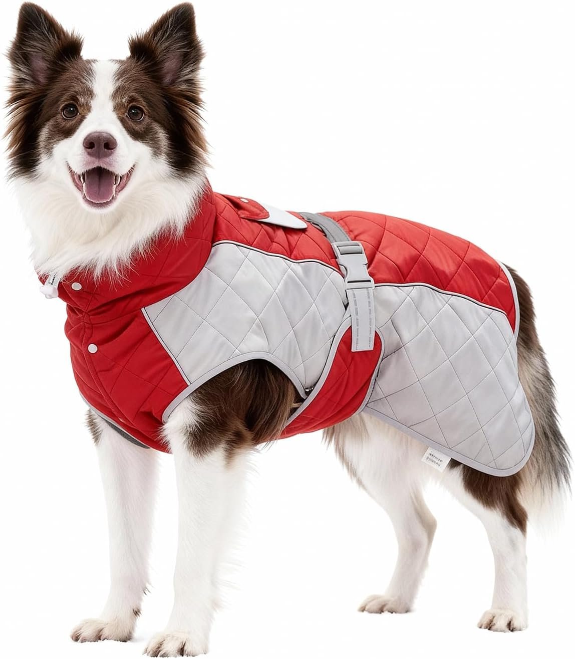 61cvcHEoxIL._AC_SL1500_.jpg Waterproof Reflective Adjustable Dachshund Jacket - Image 1
