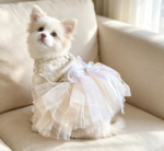 Multi-Layer Lace Tutu Wedding Dress (with Leash + Embroidery) - Image 2