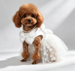 Pearl Necklace Decorated White Wedding Dress