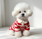 Red Pure Cotton Polo Pet T-Shirt – Size XS (0.8-1.4kg) - Image 2